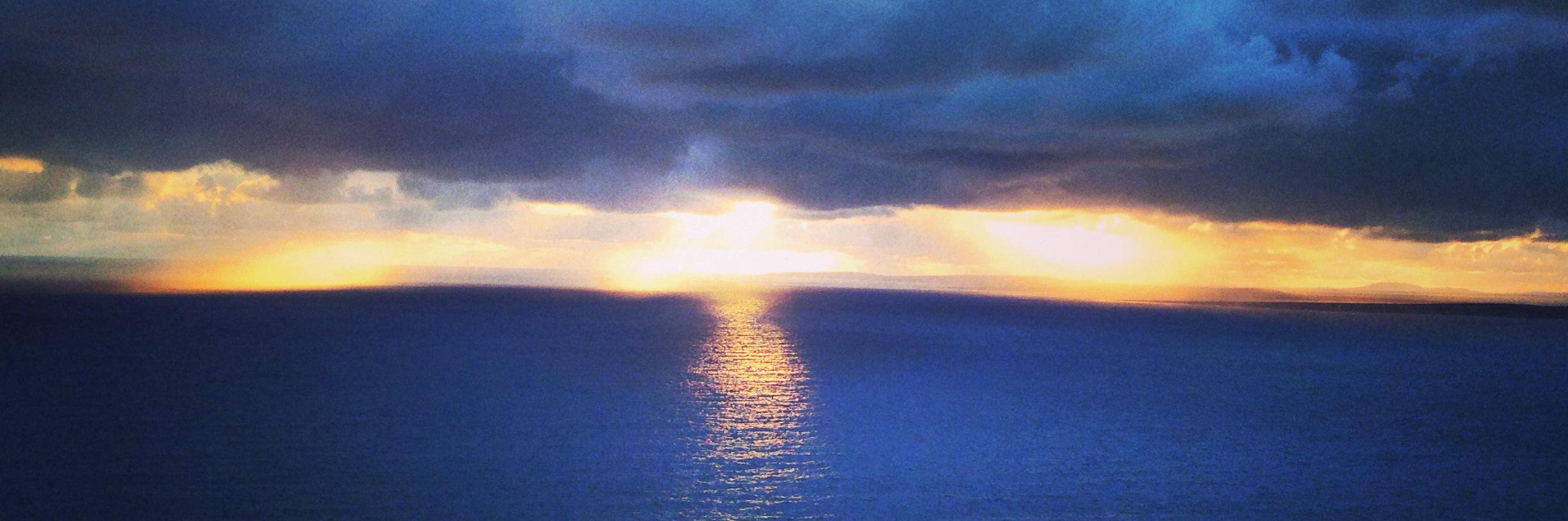 Angela Jarman, MD MPH (she/her) banner