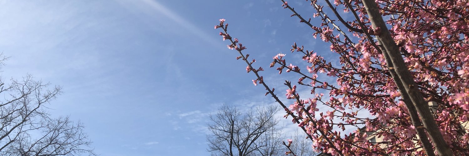 Sarahhholc's profile banner image