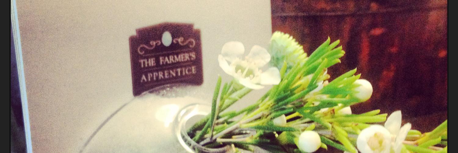 FApprentice's profile banner image