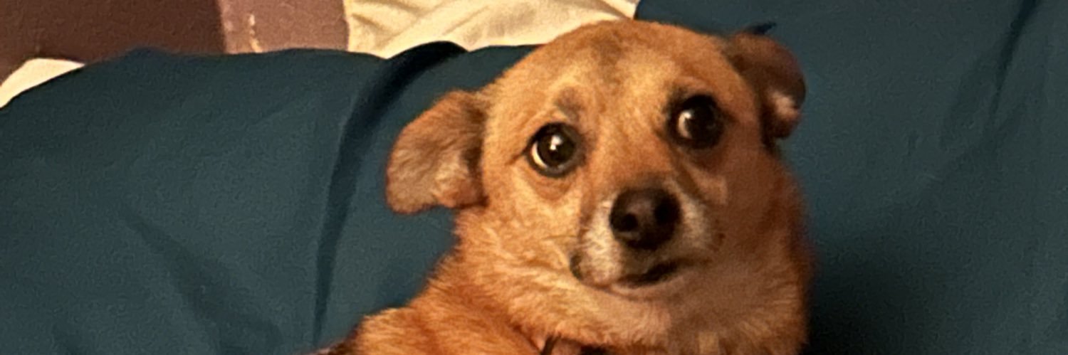 Javi_Joking's profile banner image
