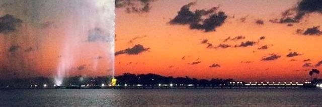 علي العمري banner