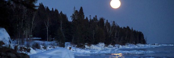 SenjiMom Profile Banner