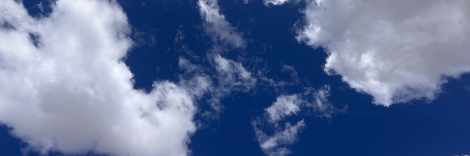 Nancy Alvarado banner