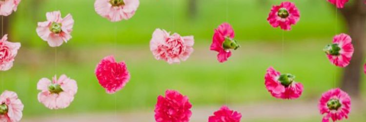 bdoor_mohd's profile banner image
