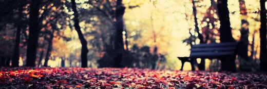 Lushy__'s profile banner image