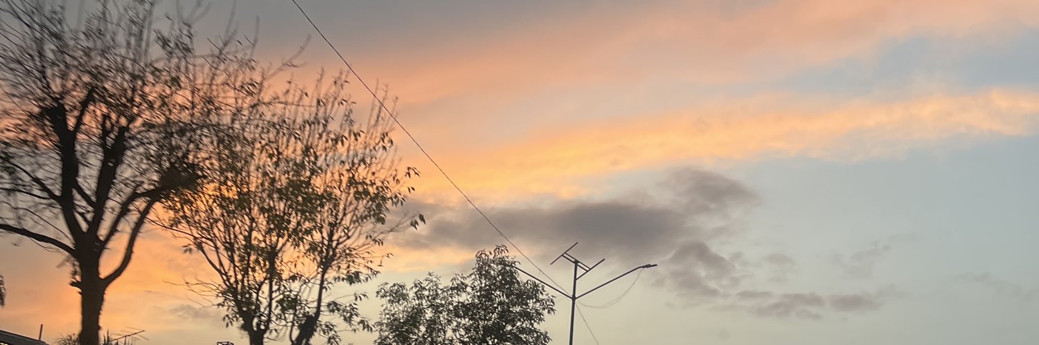 heyitsmecarlala's profile banner image