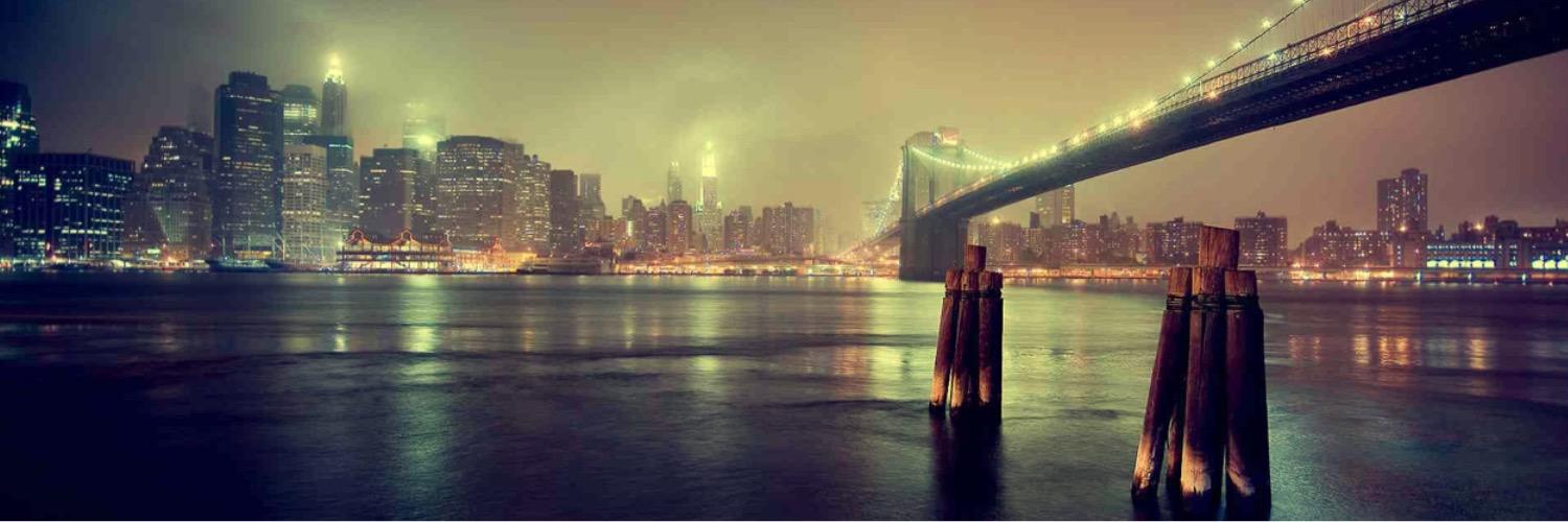 Yoneurii_'s profile banner image