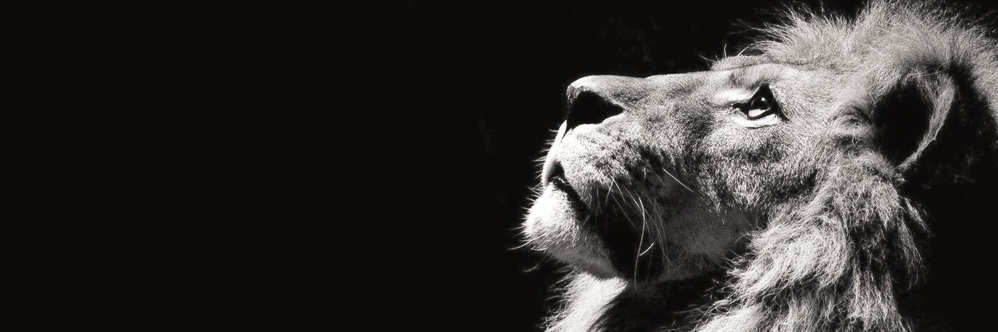 🅳🄴🄽🄽🄸🅂 banner