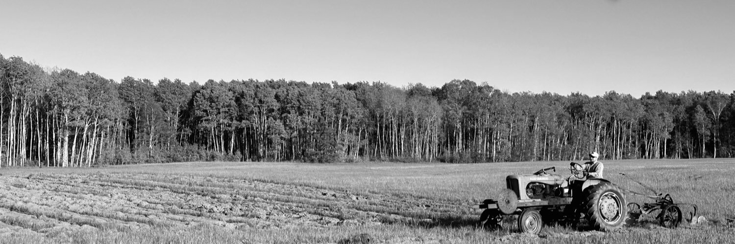 nolson96's profile banner image