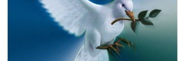 zamnid's profile banner image