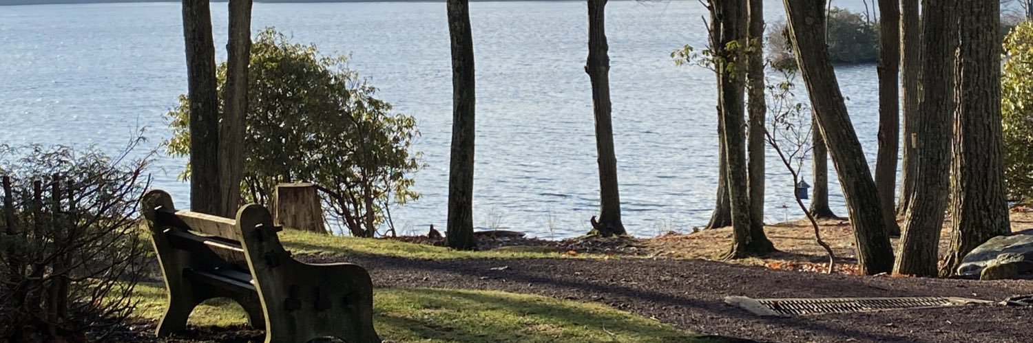 tinaa_bell's profile banner image
