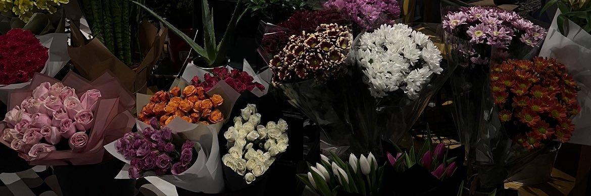dmalqattan's profile banner image