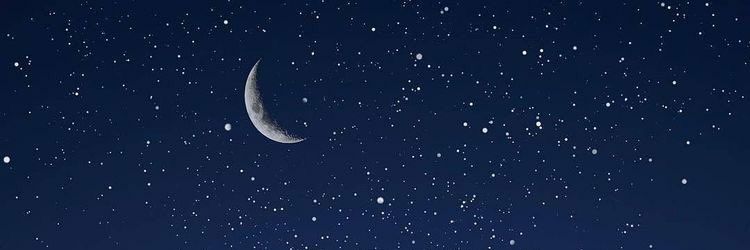 ᙏ̤̫🎈 banner