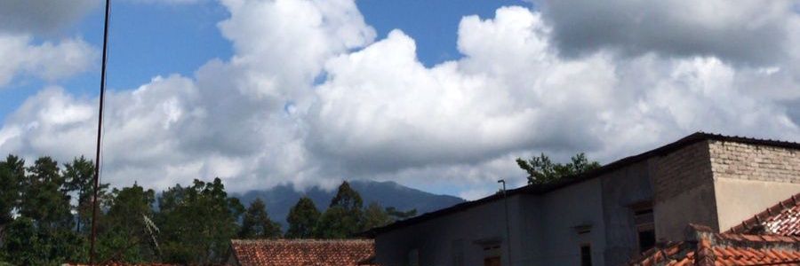 maugimnalgi's profile banner image