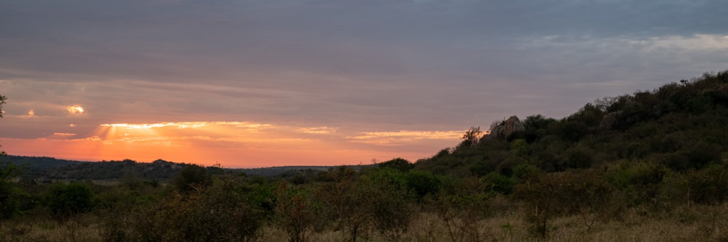 bushveld alpha banner