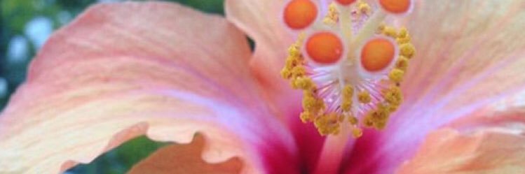 lovevons's profile banner image