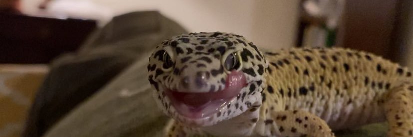 jess banner