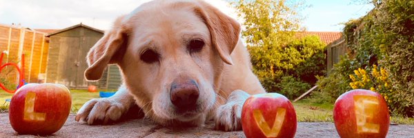 Gemh7 Profile Banner