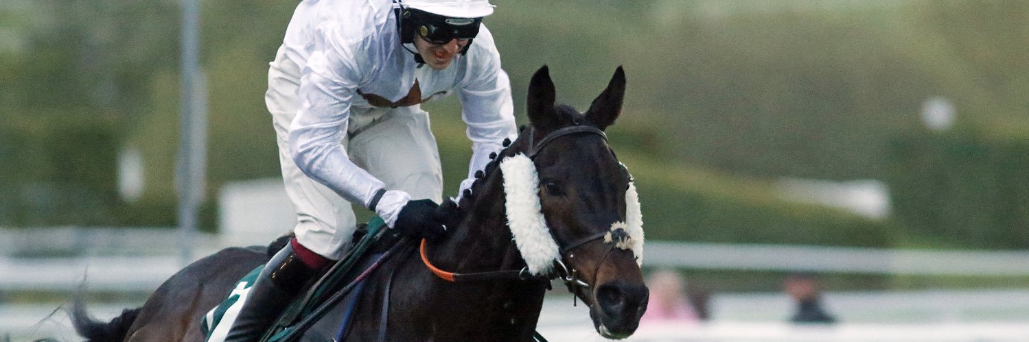 Stephanie Jones banner