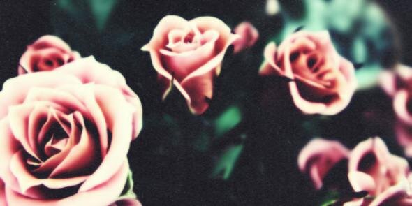 FemaleeThings's profile banner image