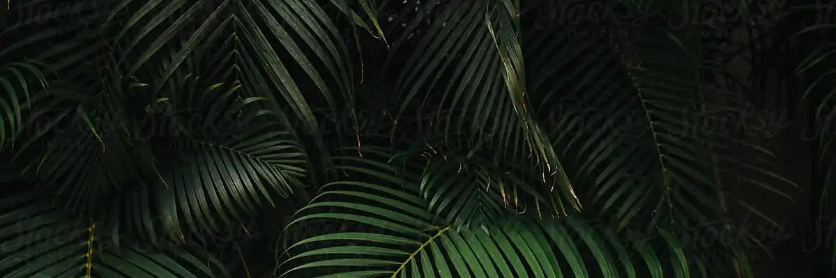 Fireman_Trades banner