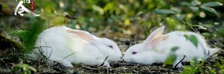 KateCAT_27's profile banner image