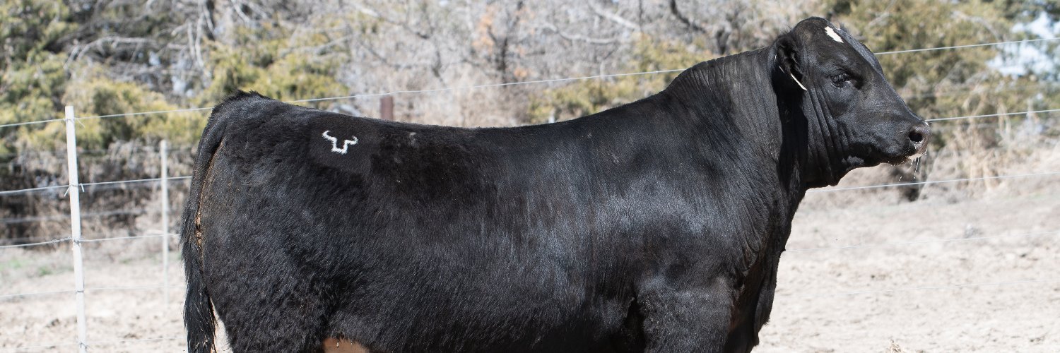 PowerlineBeef's profile banner image