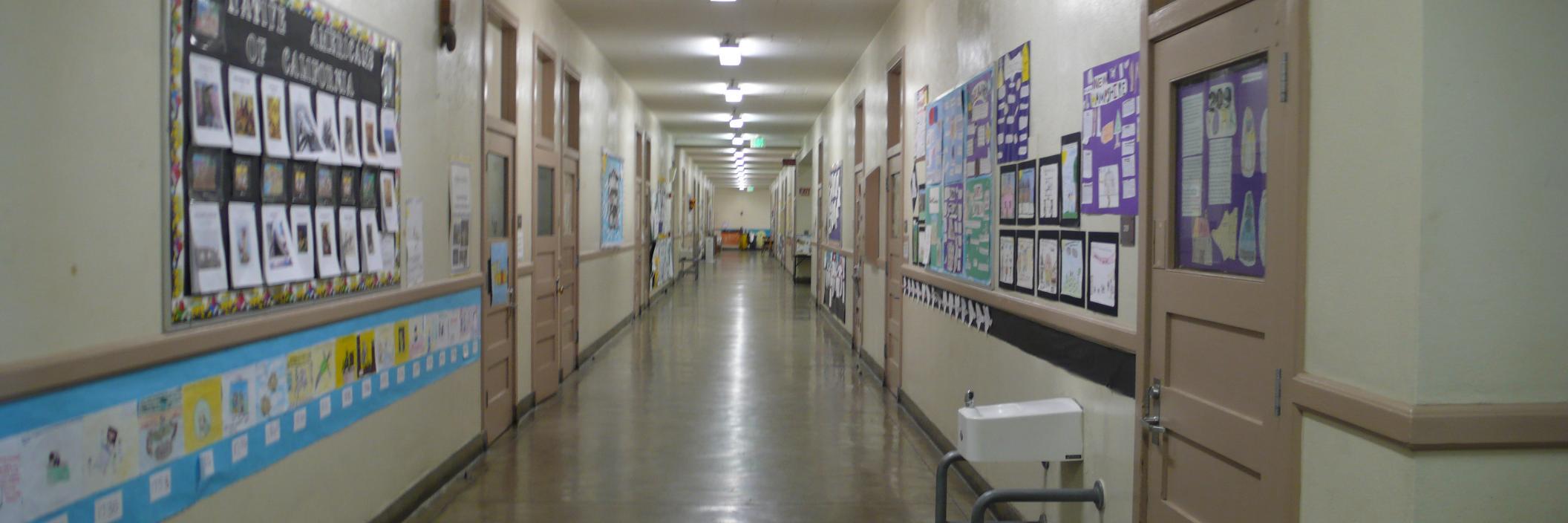 Angela Elizondo Baxter banner