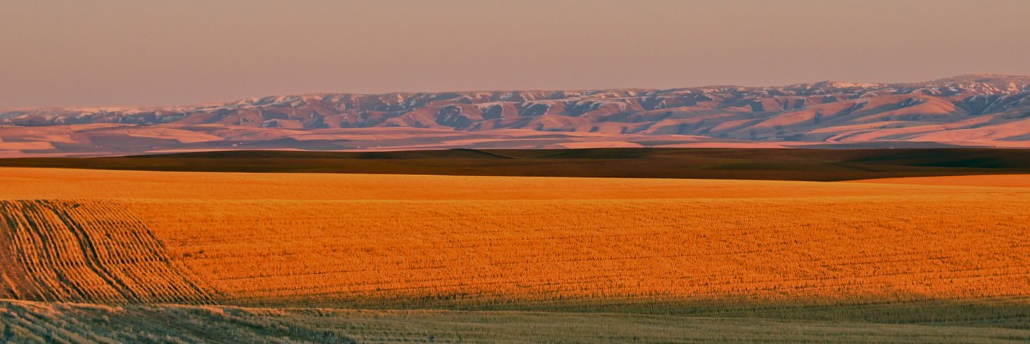 GlobalWhiting's profile banner image