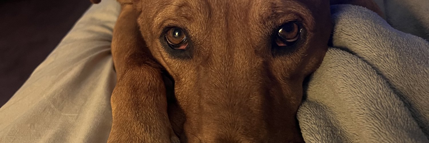 Andreamrr_'s profile banner image