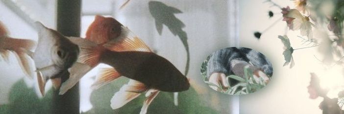 hantaesam's profile banner image