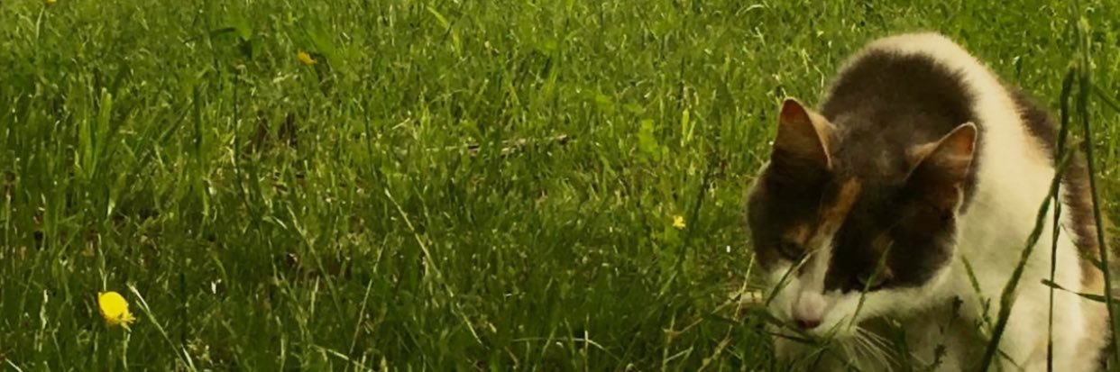 KRYSTIN216's profile banner image