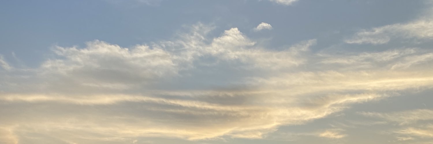 reealsss's profile banner image