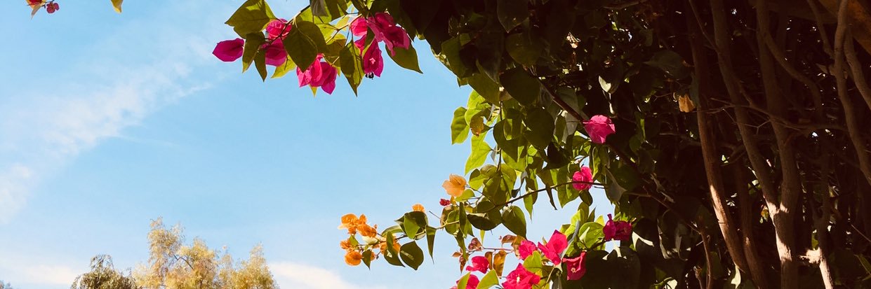 nor_9191's profile banner image
