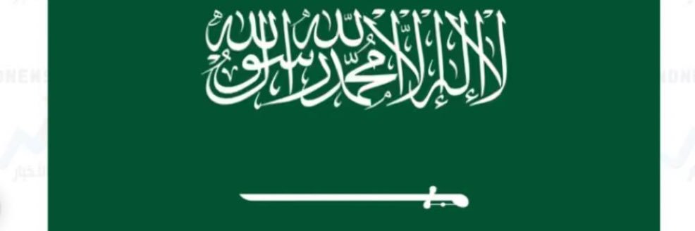 Al_anoud 🇸🇦杜飒丽 banner