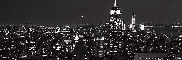 realitycurator's profile banner image