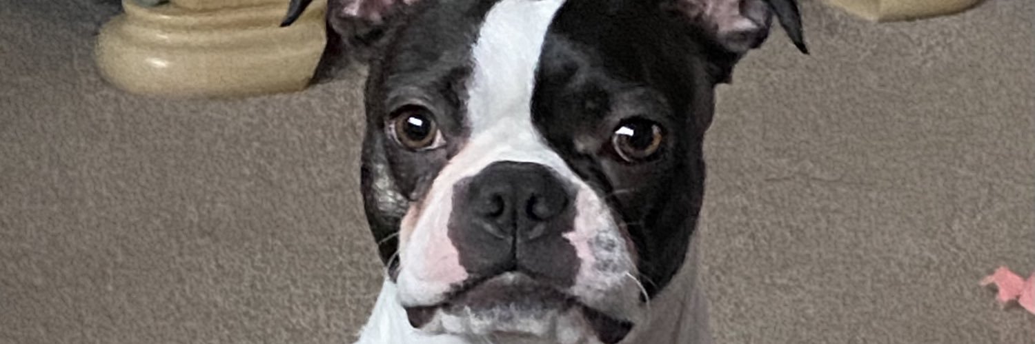bellakeep's profile banner image