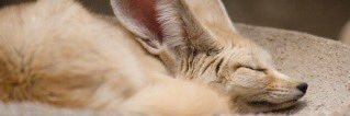 7c_li2's profile banner image