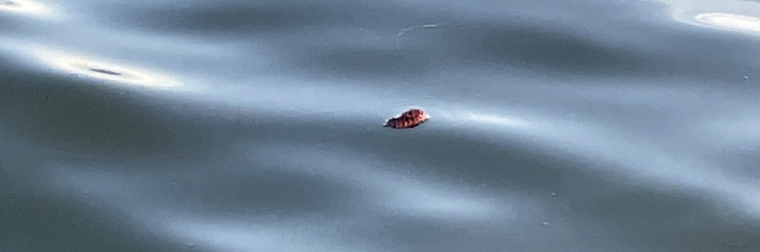 timothy gardner banner