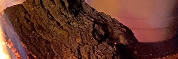 sprayerguy Profile Banner