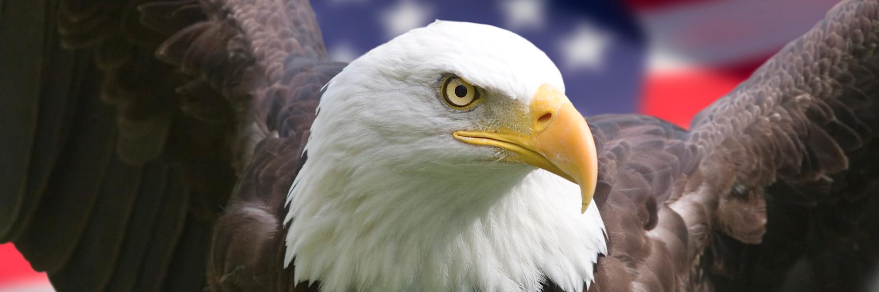 a_zinke's profile banner image