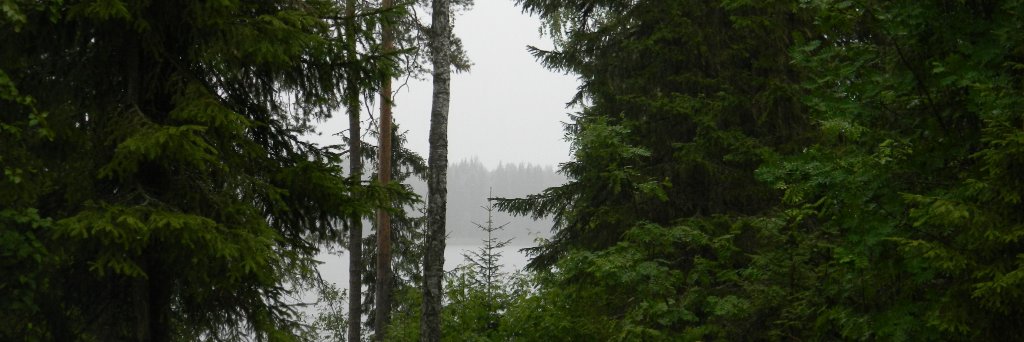 DimaGhj's profile banner image