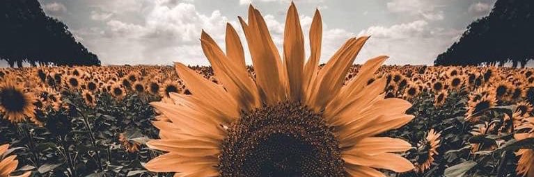 b_farrance's profile banner image