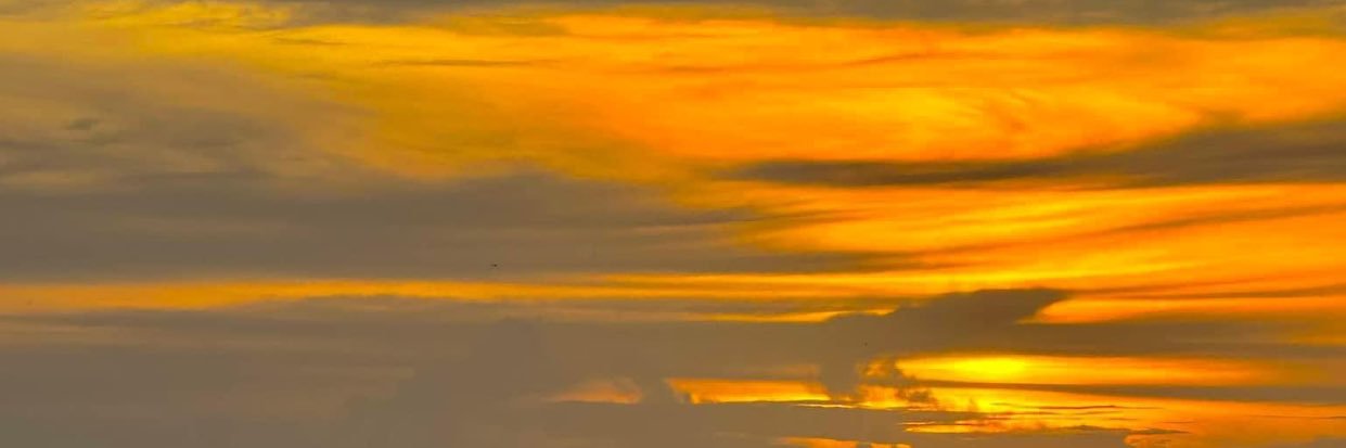michellesotoaa's profile banner image