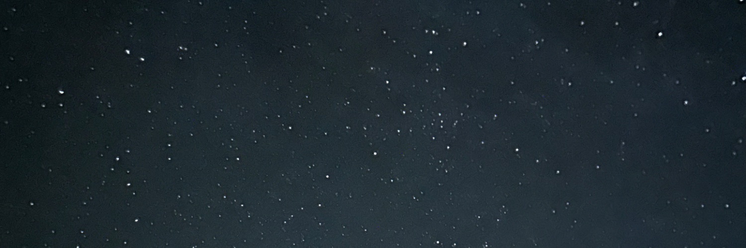 lilyysol's profile banner image
