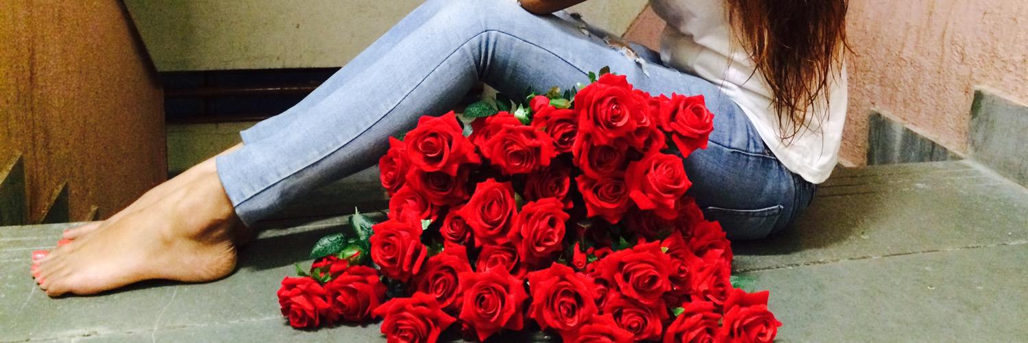 siashah02's profile banner image