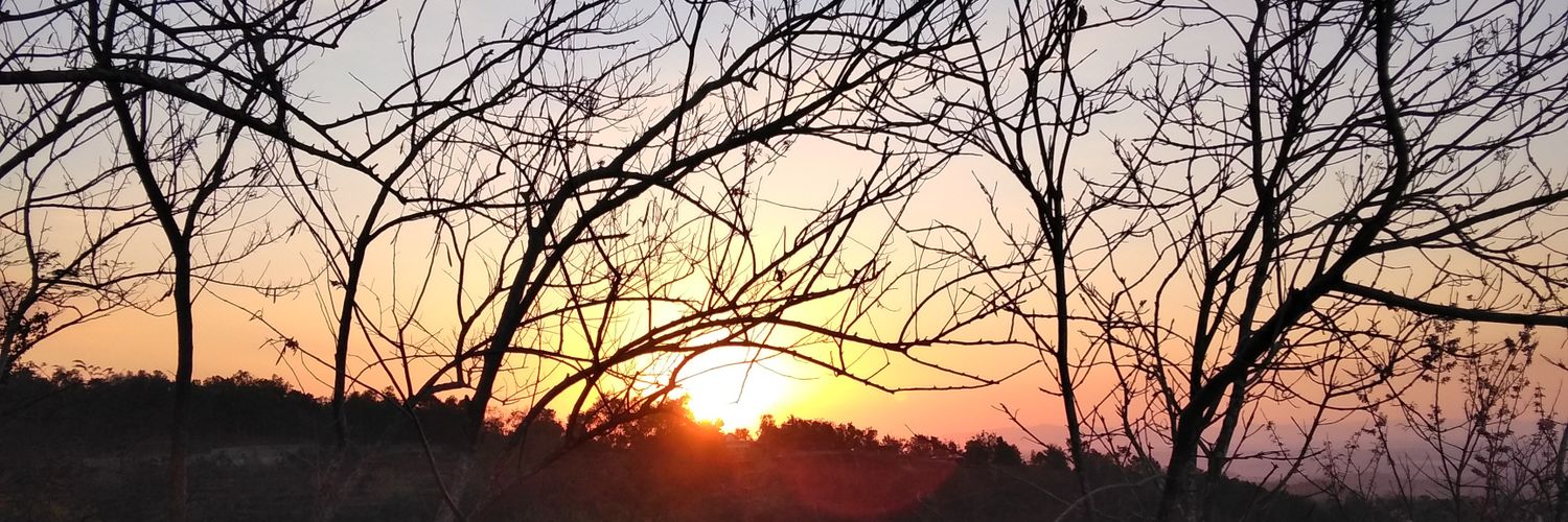 stevi_de's profile banner image