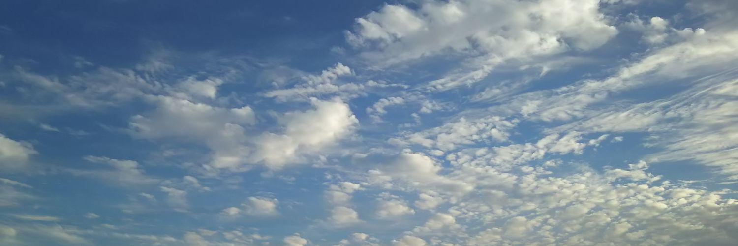 reversefactor's profile banner image
