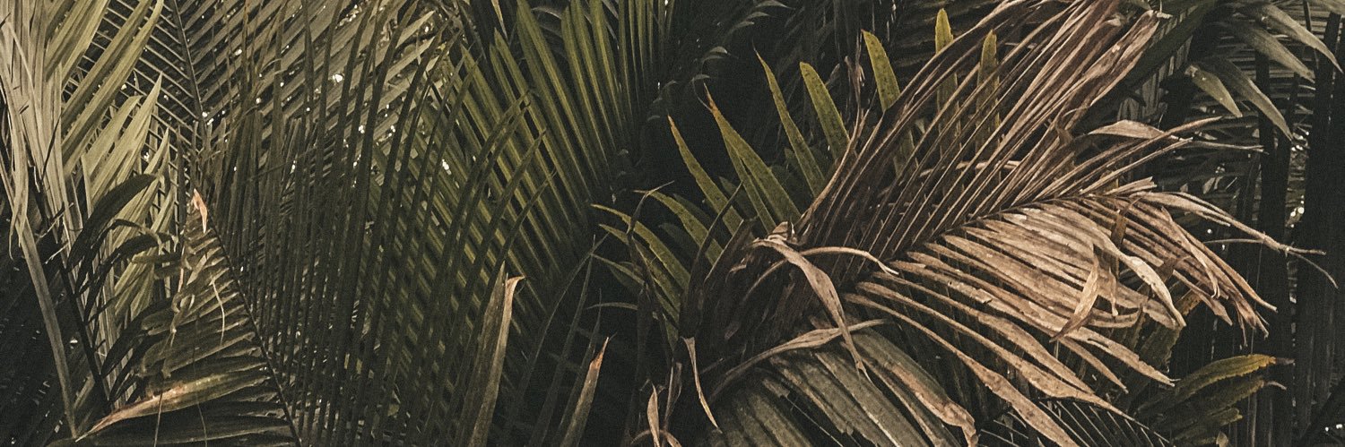 j_ack_c's profile banner image