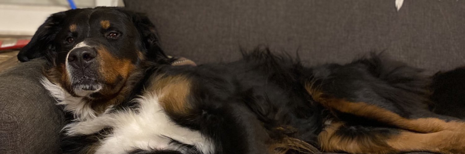 Astutti_Tomii's profile banner image